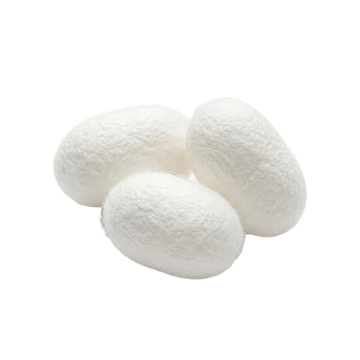 SILK PROTEIN COMPLEX
